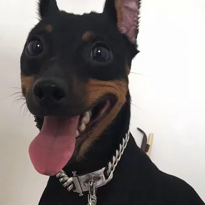 YOTHIWAD Hundehalsband aus Metall mit Sicherer Schnalle,Ketten Halsband Hund, Kubanische Gliederkett