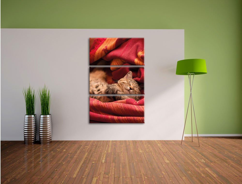 Pixxprint Babykatze als Leinwandbild/Grösse: 3 Teilig (120x80) cm/Wandbild/Kunstdruck/fertig bespann