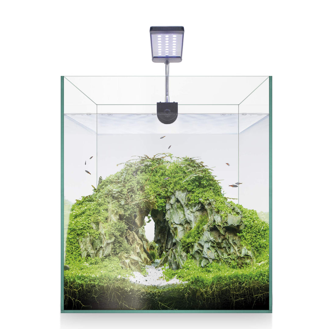 ICA Kit Nano Aquascape RGB 25 x 25 cm 8949.9999999999999 g