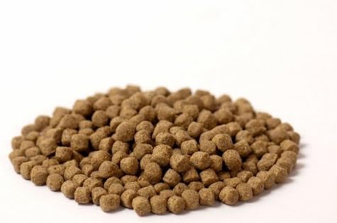 KI-JA-KO Wheatgerm Premiumfutter für Kois 3 kg / 6 mm - Zum Füttern von Koi im Frühling und Herbst,