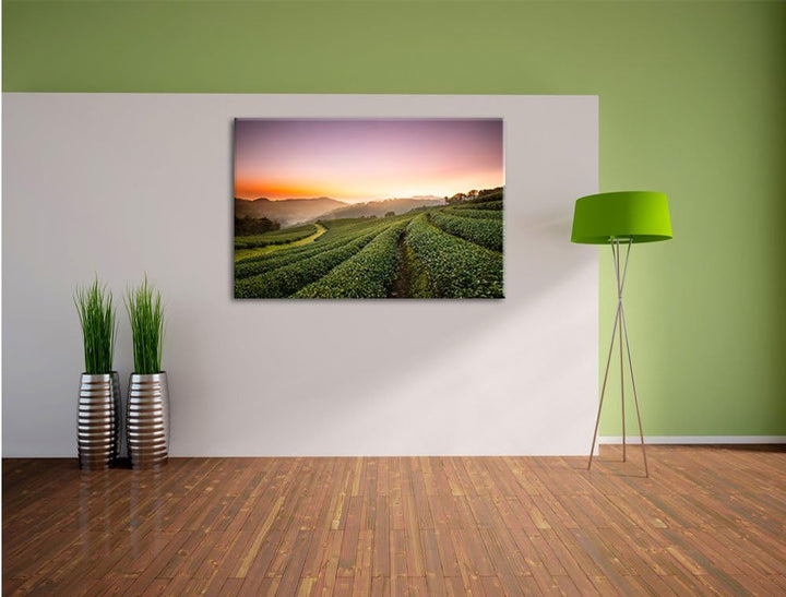 Pixxprint Sonnenaufgang Teeplantage Thailand / 100x70cm Leinwandbild bespannt auf Holzrahmen/Wandbil