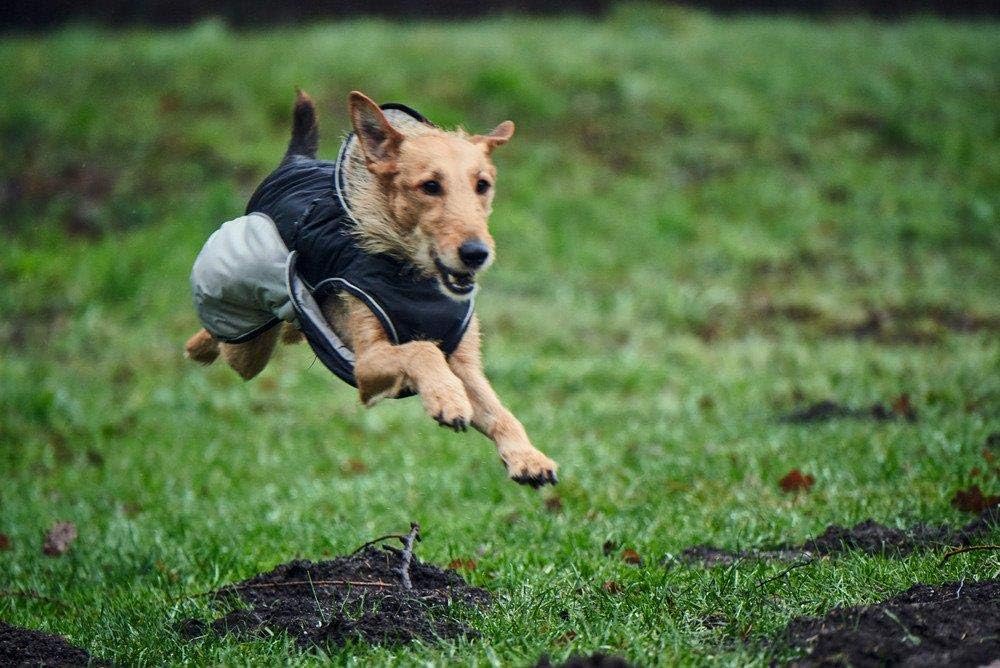 HUNTER UPPSALA EXTREME Hundemantel, Wintermantel, wasserabweisend, reflektierend, 25, schwarz/grau s