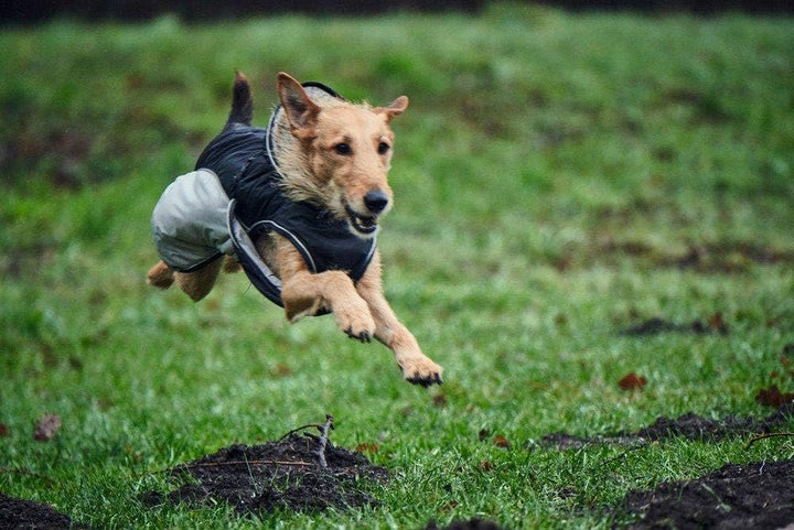 HUNTER UPPSALA EXTREME Hundemantel, Wintermantel, wasserabweisend, reflektierend, 25, schwarz/grau s