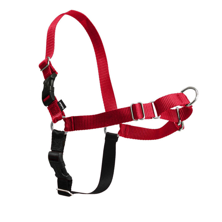 PetSafe Easy Walk Hundegeschirr. rot / schwarz M, rot / schwarz M