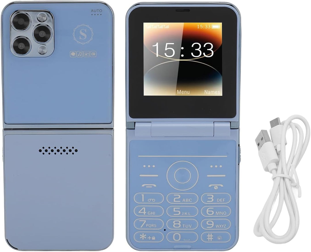 Bewinner 2G Entsperrtes Klapphandy für Senioren, Mobiltelefon mit Grossen Tasten und 4 SIM-Karten Im