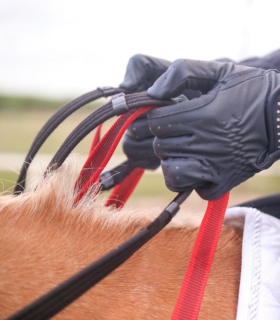 WALDHAUSEN Vorderzeug mit Sicherheitszügel Secutrust Schwarz Pony, Schwarz Pony