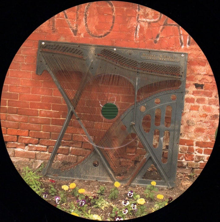 You,You Re a History in Rust, Vinyl