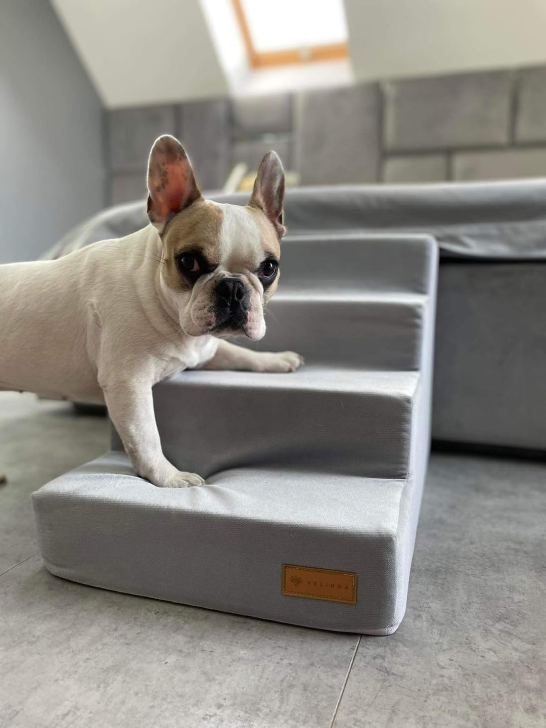 Hundetreppe mit 4 Stufen Katzentreppe Haustiertreppe Einstiegshilfe Schaumstoff (Farbe: grau), grau