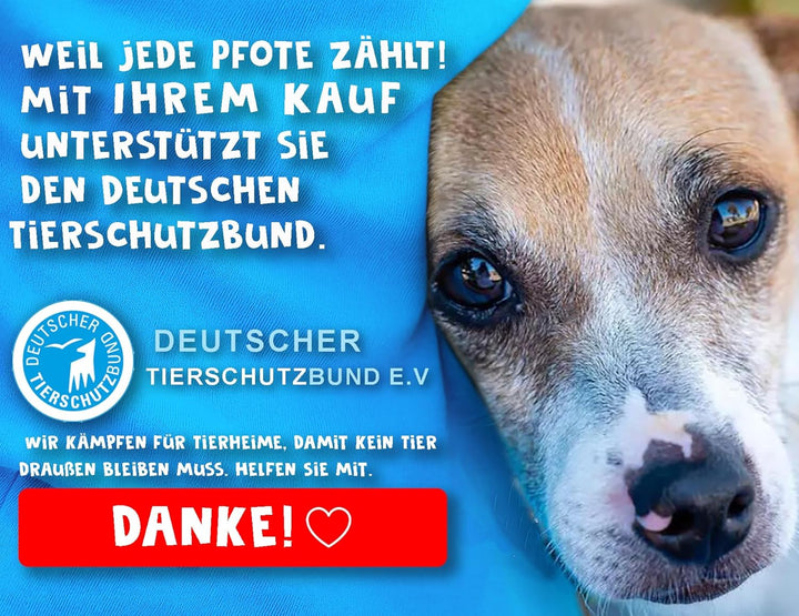 TOP EMPFEHLUNG | Extragrosse Faltbare 800ml Hundetrinkflasche für unterwegs inkl. Zahnbürste | Premi