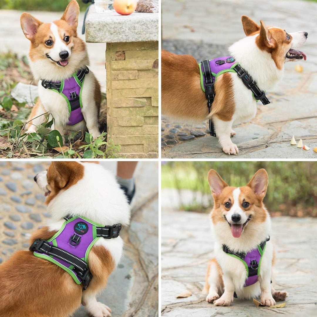 PHOEPET Hundegeschirr, reflektierend, mit Griff, 2 Metallringen, 3 Schnallen, einfaches An- und Ausz