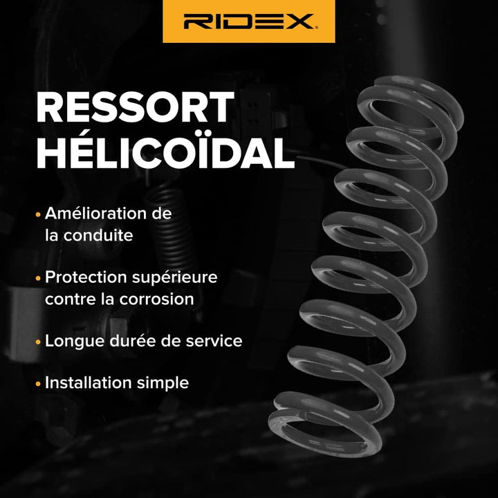 RIDEX FEDER FAHRWERKSFEDER HINTEN