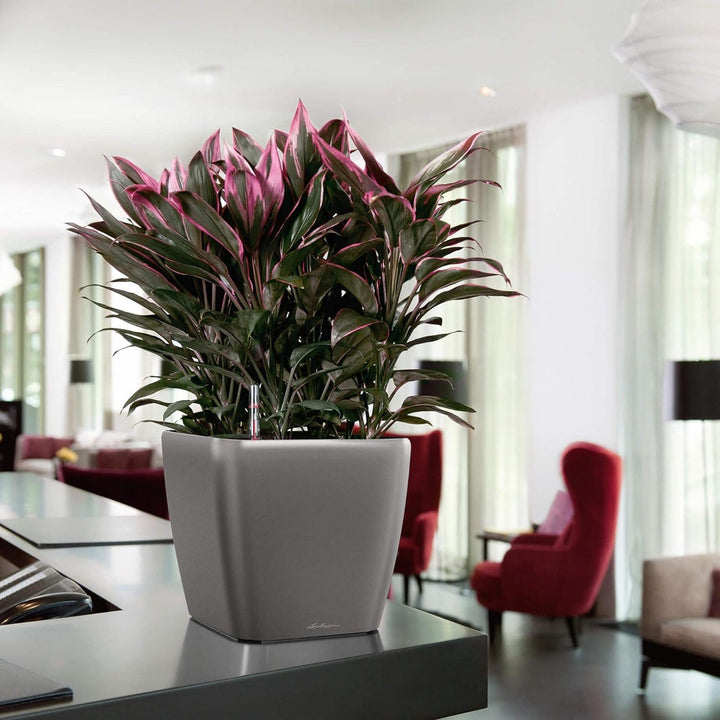 LECHUZA QUADRO Premium LS 28 silber metallic 16148 28x28x26 cm Silber Metallic, 28x28x26 cm Silber M