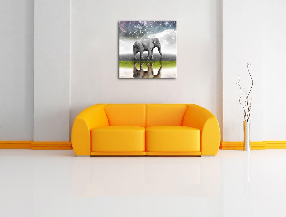 Pixxprint Traumhafter Elefant auf Wiese schwarz/weiss, Format: 70x70 auf Leinwand, 70x70