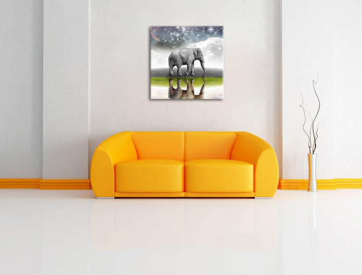 Pixxprint Traumhafter Elefant auf Wiese schwarz/weiss, Format: 70x70 auf Leinwand, 70x70