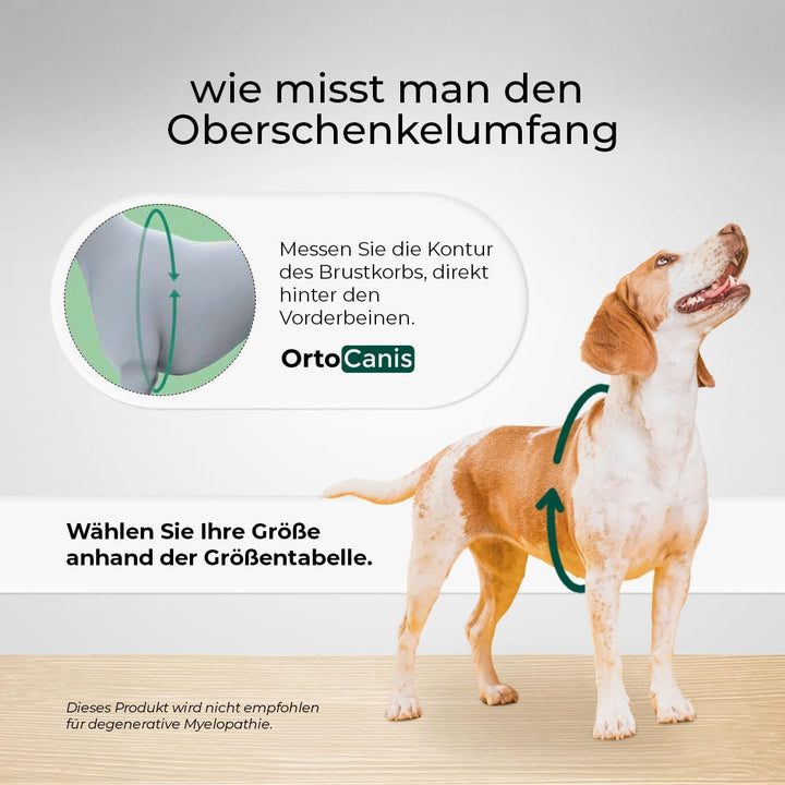 Ortocanis - Hüftorthese für Hunde - Hüftdysplasie, Hüftschmerzen oder Lokalisierten Arthrose - Stabi