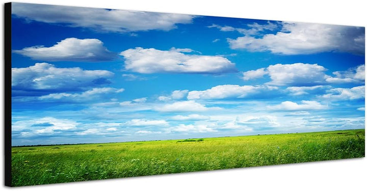 Paul Sinus Art Panoramabild auf Leinwand und Keilrahmen 150x50cm Feld Wiese Sommer Himmel Wolken