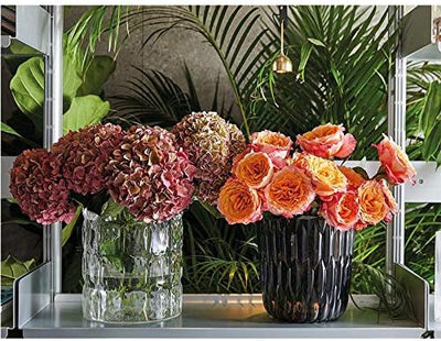 Kartell 1225B4 Vase Matelasse, 30 x 23 cm, glasklar Cristallo, Cristallo