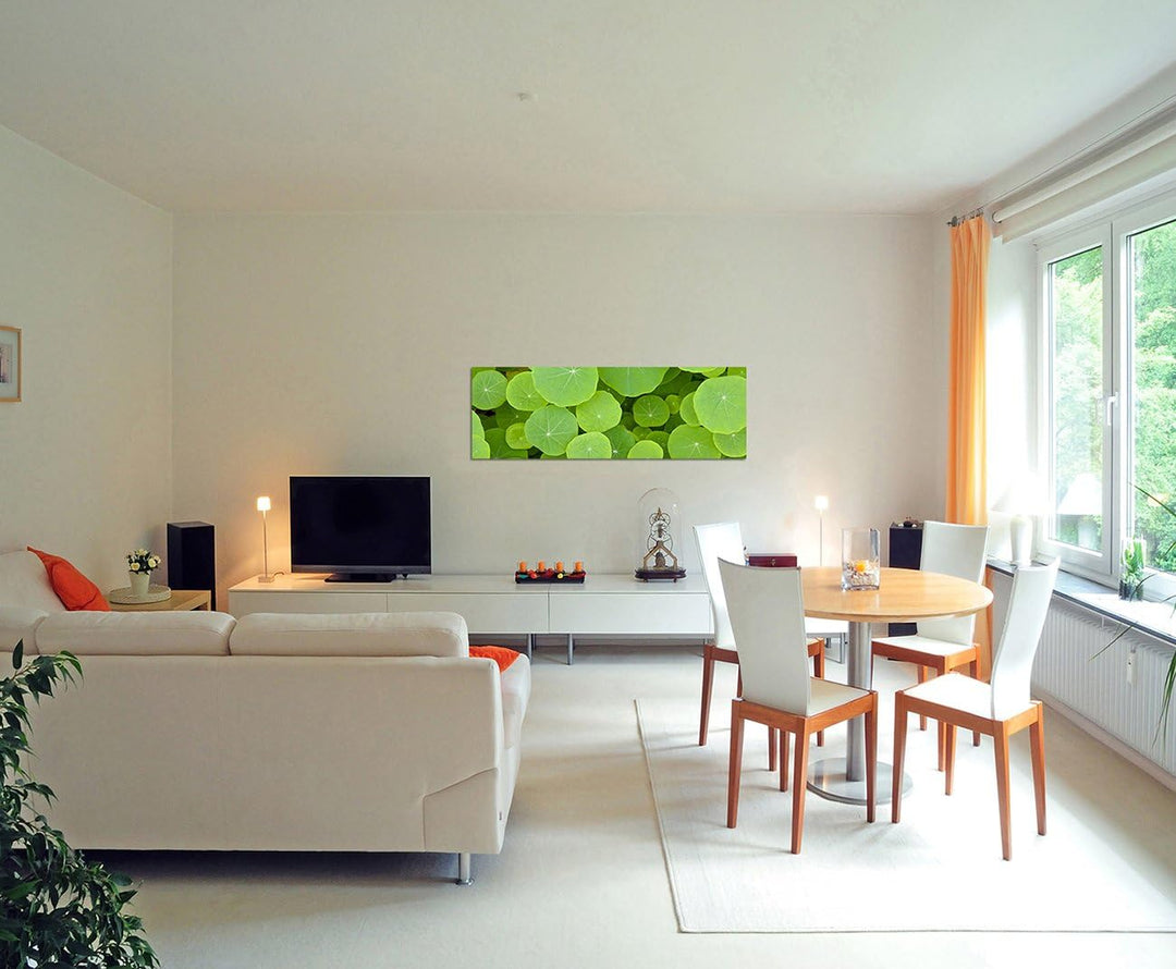 Paul Sinus Art Panoramabild auf Leinwand und Keilrahmen 150x50cm Pflanzen Blätter rund grün Hintergr