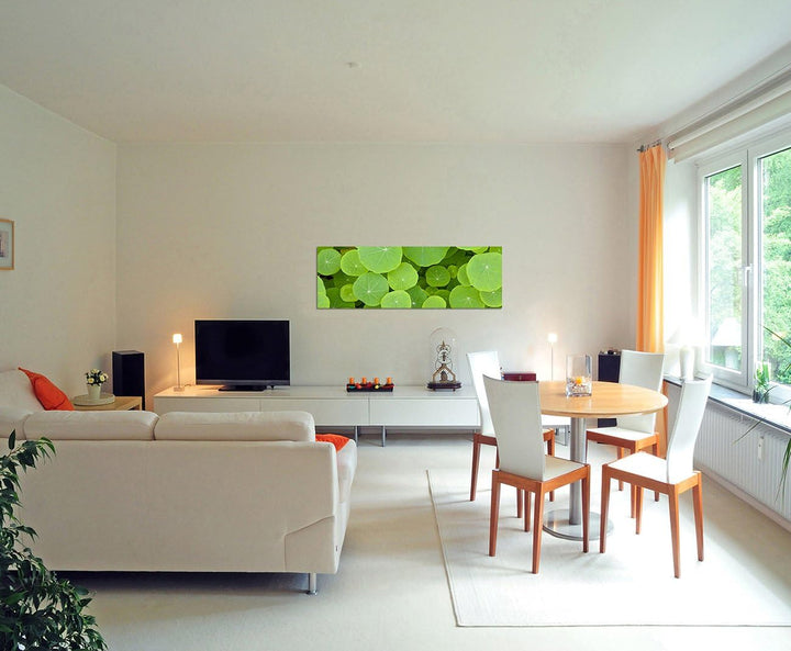 Paul Sinus Art Panoramabild auf Leinwand und Keilrahmen 150x50cm Pflanzen Blätter rund grün Hintergr