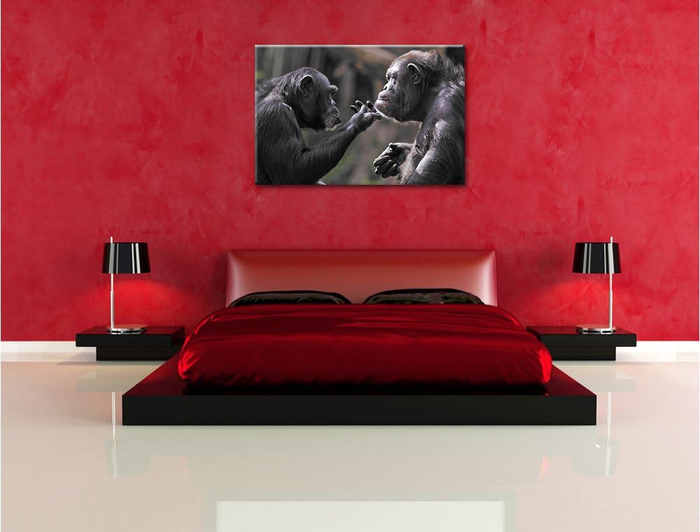 Pixxprint Schimpansen Freundschaft / 100x70cm Leinwandbild bespannt auf Holzrahmen/Wandbild Kunstdru