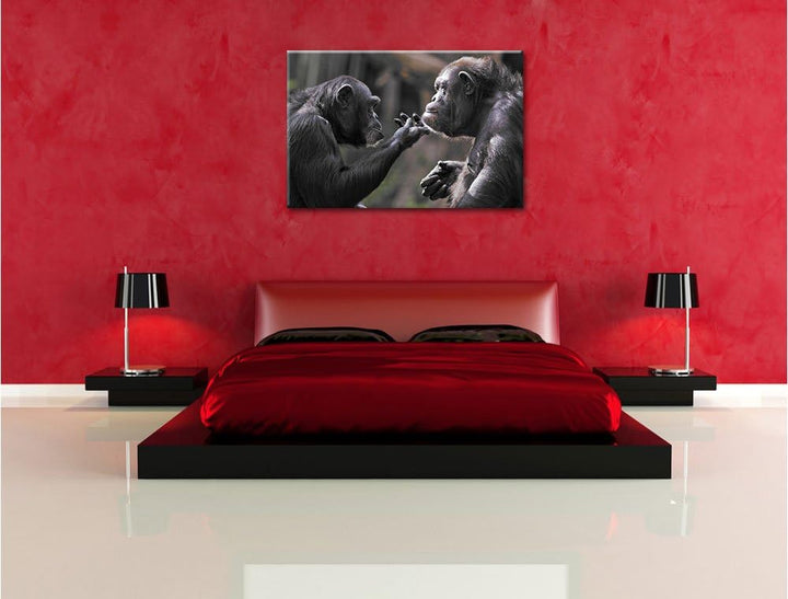 Pixxprint Schimpansen Freundschaft / 100x70cm Leinwandbild bespannt auf Holzrahmen/Wandbild Kunstdru