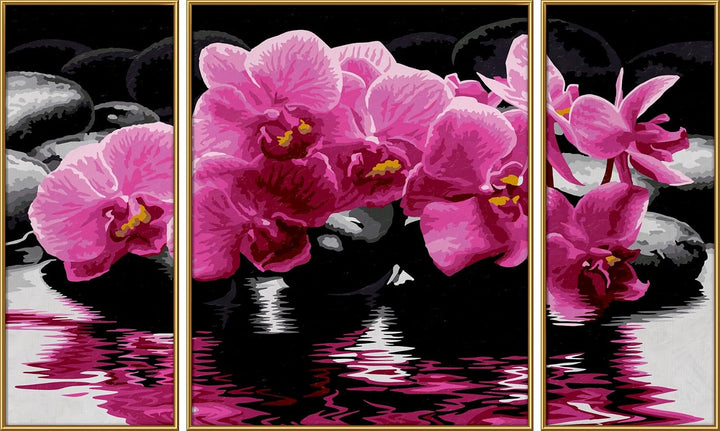 Schipper 609260603 Malen nach Zahlen, Orchideen - Bilder malen für Erwachsene, inklusive Pinsel und