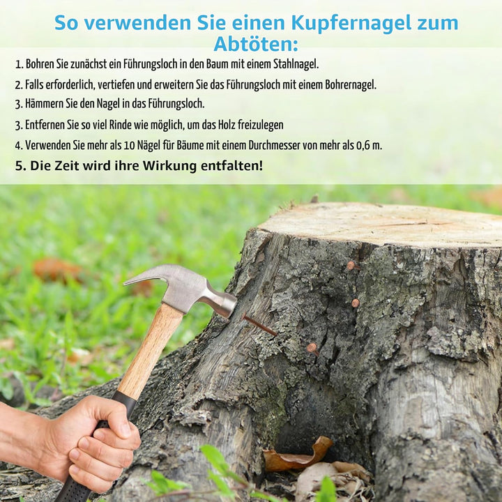 LALAGO 14 stück Grosse Kupfernägel, Kupfernägel Baumkiller, Solid Kupfer Schlagkraft Nägel, 89mm Lan