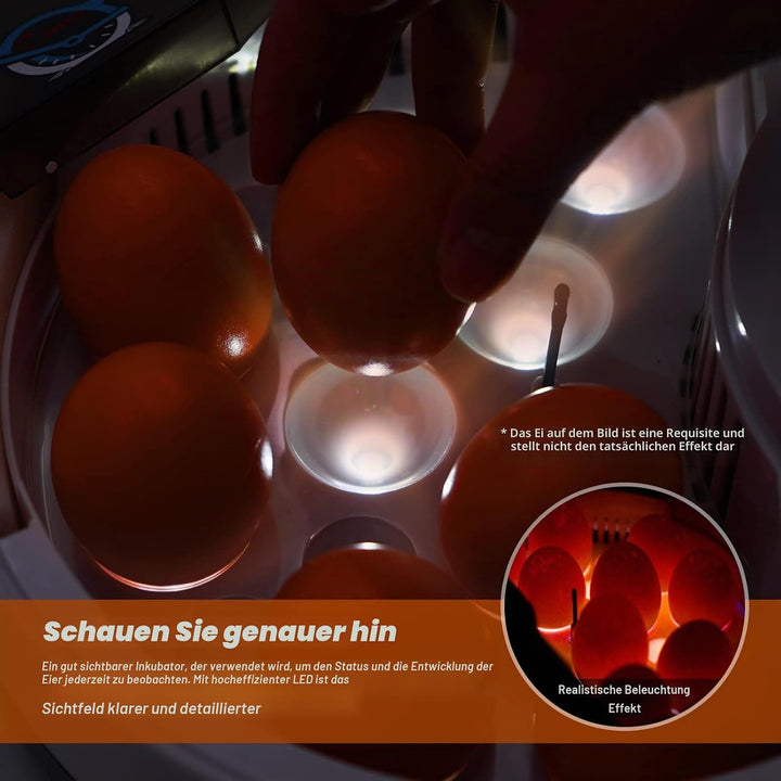 BREUAILY Mini 9 Eier Inkubator Digitaler Geflügel Hatcher mit Automatischer Temperaturregelung Brutm