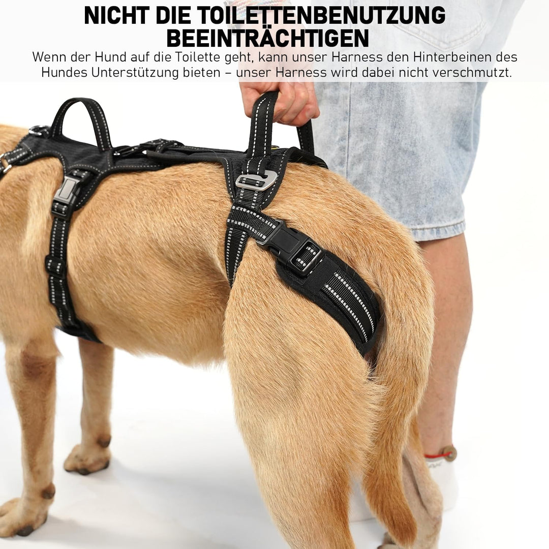 COODEO Hundefördergurt, Tragsack & Gehhilfe für Hunde, Hinterbein-Rehabilitationsweste, Transportgur