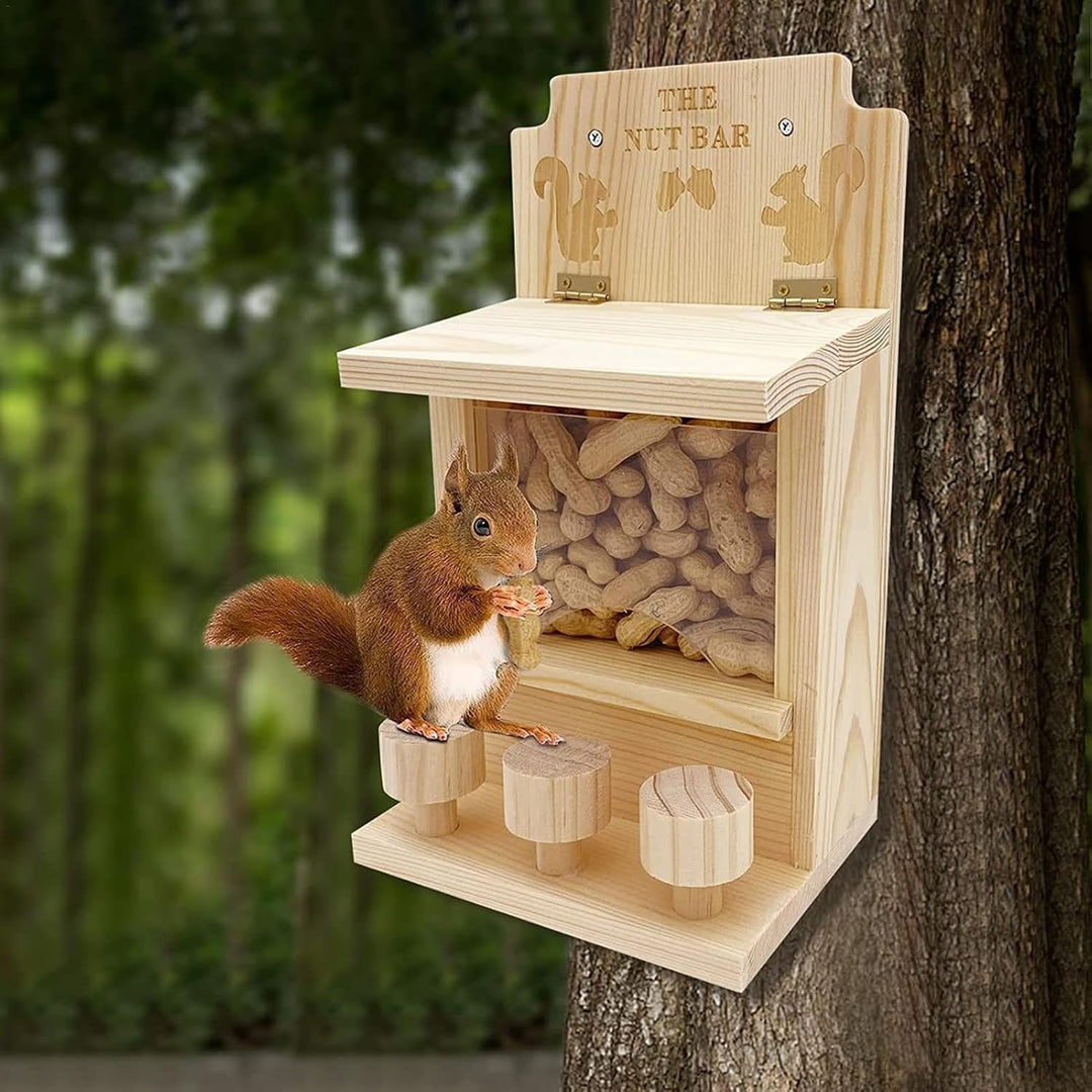 Eichhörnchen Picknick Tisch Futterspender | Nussstange Eichhörnchen Futterspender Eichhörnchen Futte