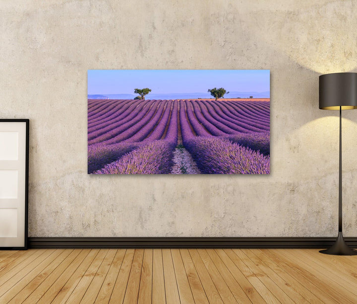 islandburner Bild auf Leinwand Lavendelfeld bei Valensole Frankreich Sommerlandschaft Provence Wandb