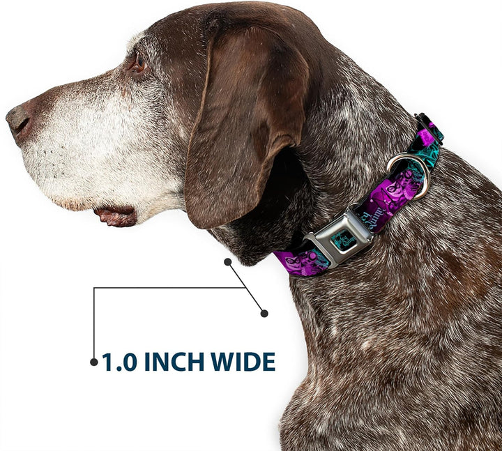 Buckle-Down Hundehalsband mit Schnalle für Harley Quinn Pow Aiming Poses Joker Schwarz Türkis Fuchsi