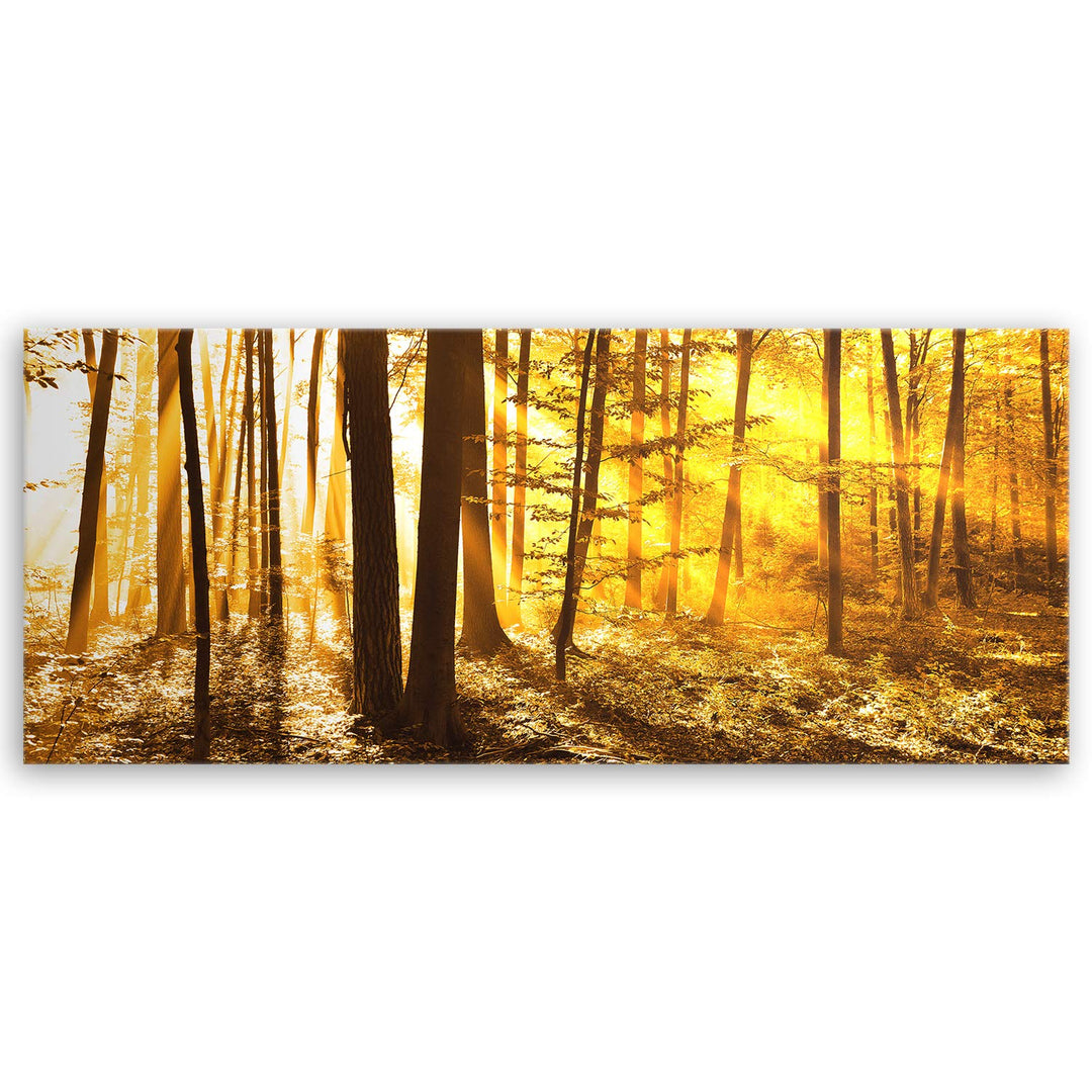 ge Bildet Bild auf Leinwand | Landschaftsbilder - beautiful morning in the forest G in 100x40 cm als
