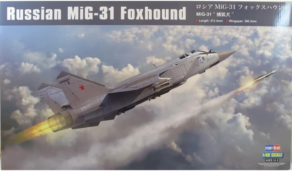 Hobby Boss MiG-31 Foxhound, HY81753, Mehrfarbig