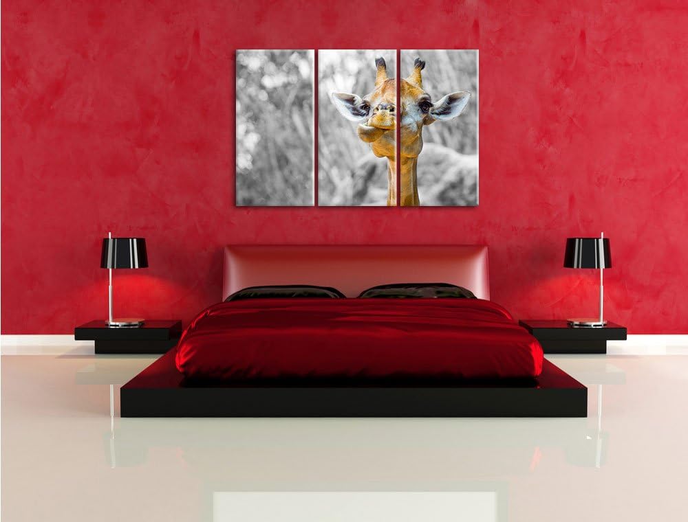 Pixxprint Giraffe in der Natur B&W Detail 3-Teiler Leinwandbild 120x80 Bild auf Leinwand