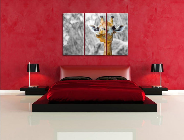 Pixxprint Giraffe in der Natur B&W Detail 3-Teiler Leinwandbild 120x80 Bild auf Leinwand