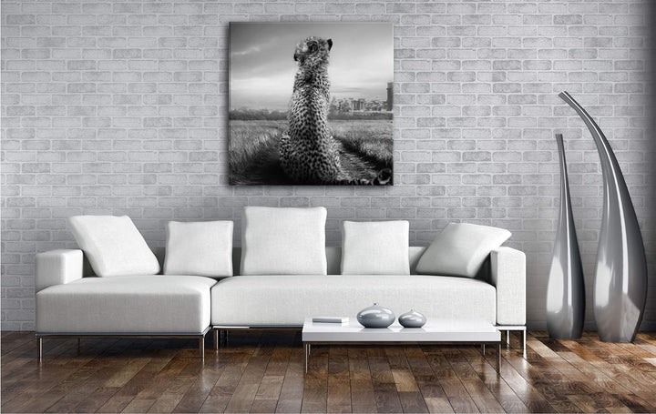 deyoli einsamer Gepard in schöner Landschaft im Format: 70x70 Effekt: Schwarz&Weiss als Leinwandbild