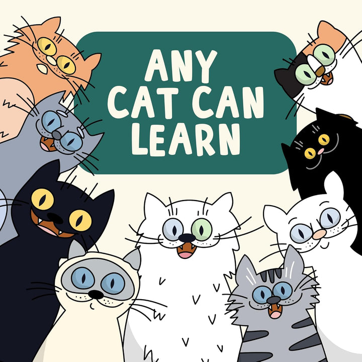 OutdoorBengal The Click Crusade (Cat Training Card Game Guide to Clicker Training for Cats for Teach