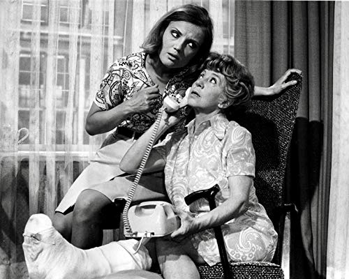 Gertrud Stranitzki & Ida Rogalski / Zwei komplette Serien mit Inge Meysel (Pidax Serien-Klassiker) [