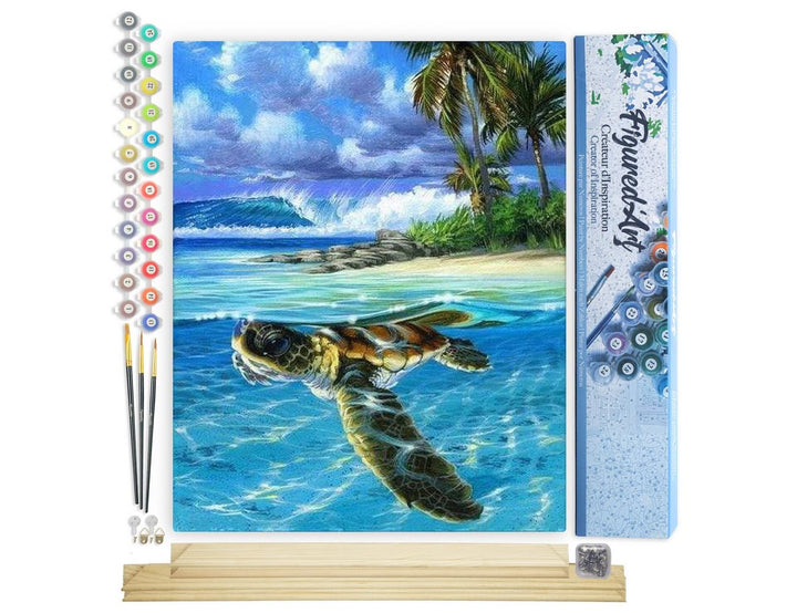 Figured'Art Malen Nach Zahlen Erwachsene Mit Rahmen Entspannte Schildkröte - Paint by Numbers Bastel