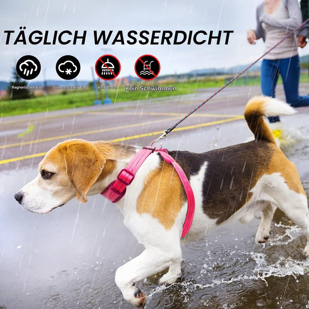 LED Hundegeschirr Leuchtend für Hunde, Leuchtgeschirr Hundeweste Wiederaufladbar Rosa Gross, Rosa Gr