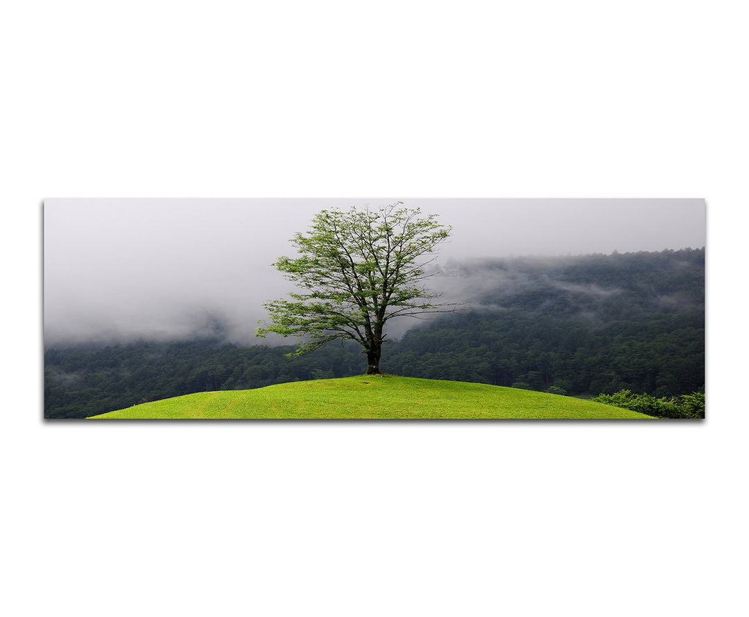 Paul Sinus Art Panoramabild auf Leinwand und Keilrahmen 150x50cm Wald See Nebel Insel Baum Spiegelun