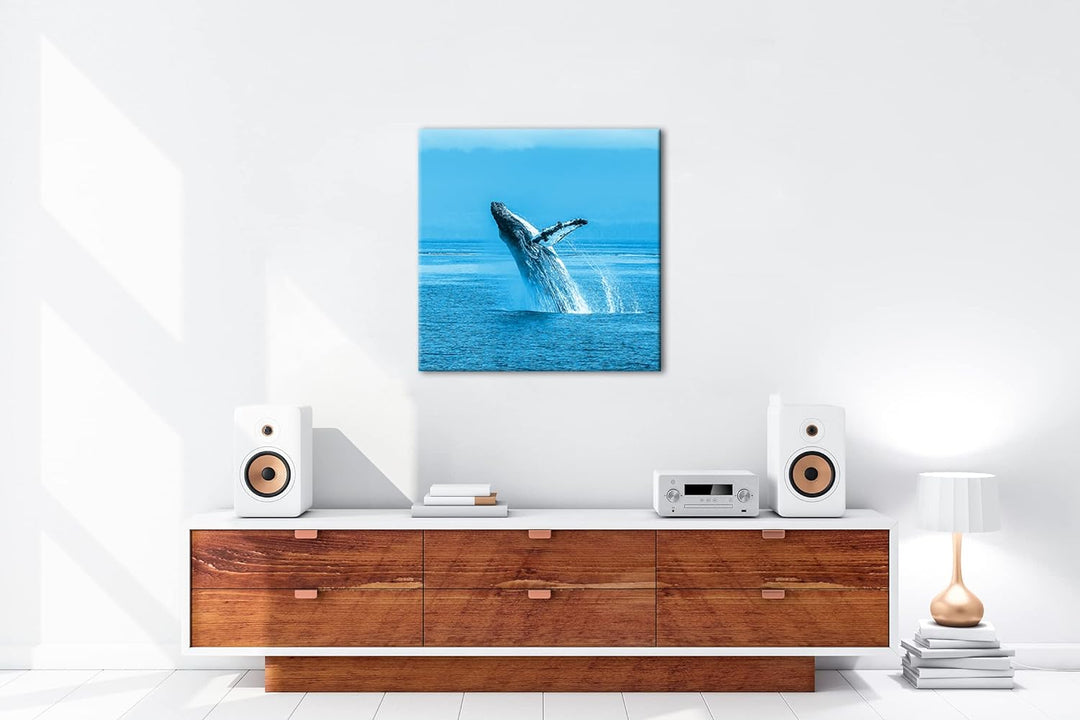 deyoli atemberaubender Buckelwal im Meer Format: 40x40 Effekt: Monocrome Blau als Leinwandbild, Moti
