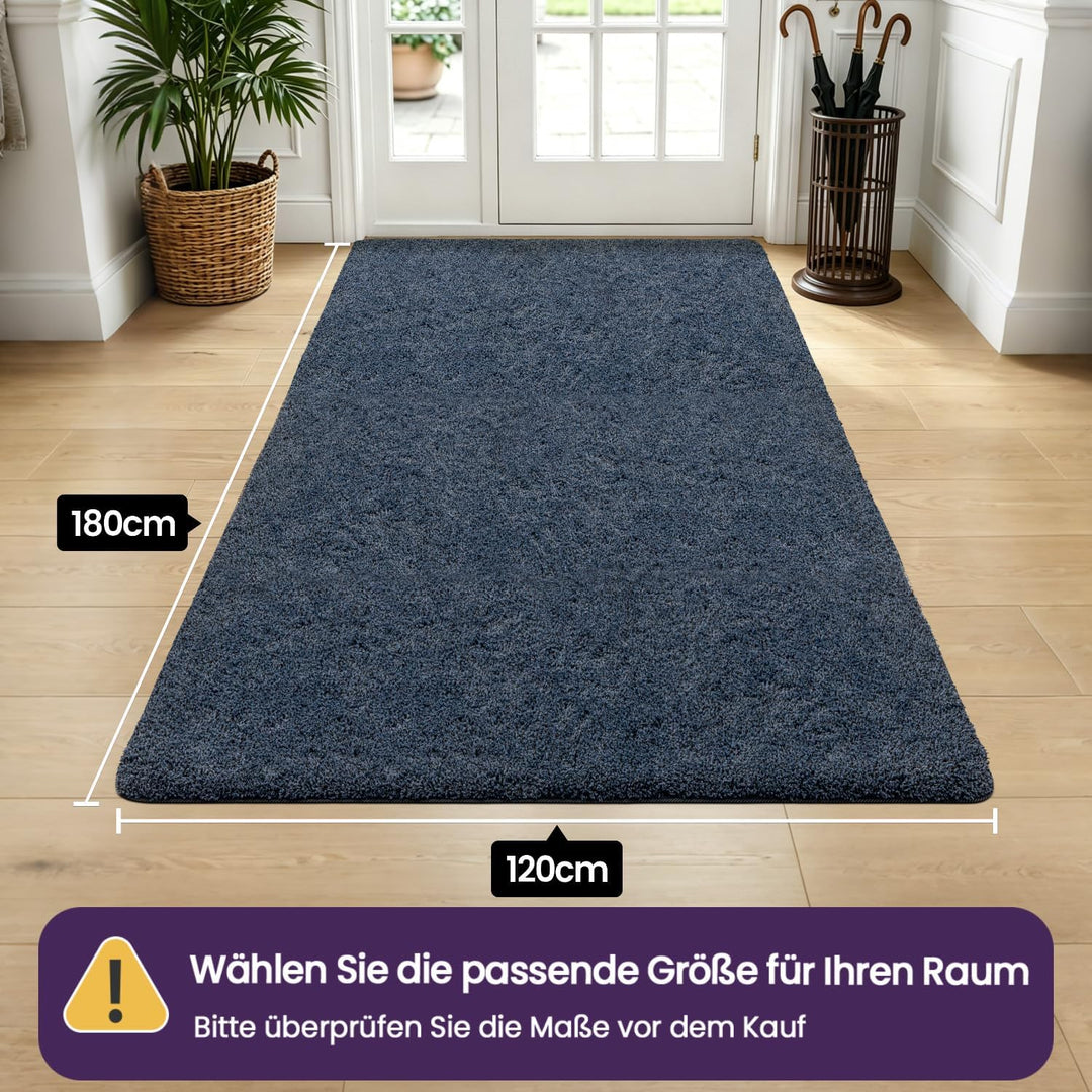 DEXI Fussmatte Innen 120 x 180 cm, rutschfeste Schmutzfangmatte, Maschinenwaschbare Fussmatte, Saugs