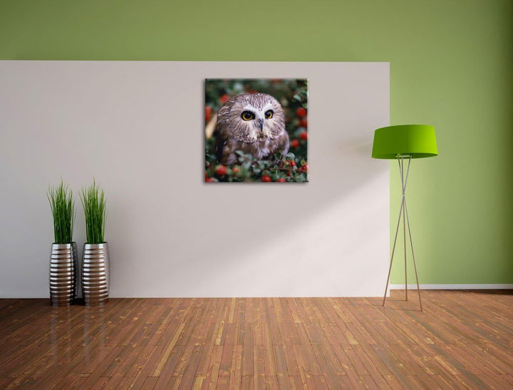 Pixxprint Kleine Eule im Vogelbeerenstrauch, Format: 70x70 auf Leinwand, 70x70