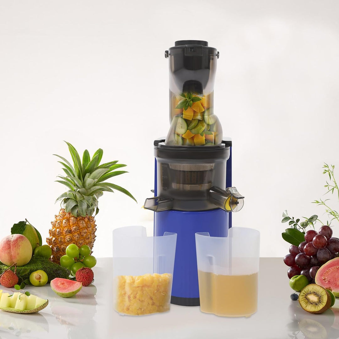 Kaltentsafter Slow Juicer für Obst Gemüse mit Rücklauffunktion