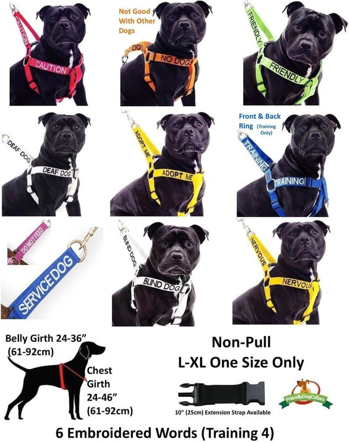 Dexil Limited Trainingsleine für Hunde, Blau, farbcodiert, 6 cm oder 1,8 m oder 1,8 m 6 Foot Leash,