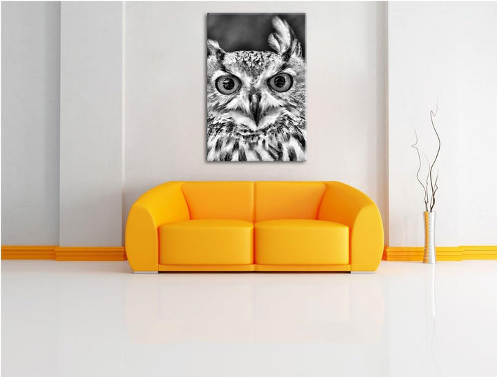Pixxprint Monocrome, Eulen Kautz Orange Augen, Format: 100x70 auf Leinwand, 100x70
