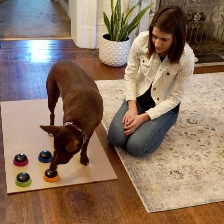 Hunger for Words Talking Pet Starter-Set, aufnahmefähige Tasten für Hunde, Hunde-Sprechtasten, bring