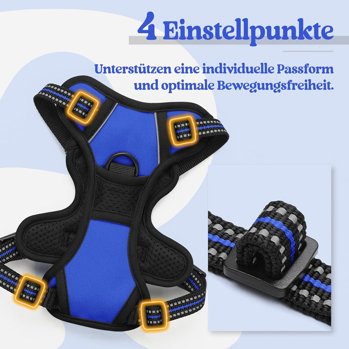 rabbitgoo Hundegeschirr Kleine Hunde, Anti Zug Geschirr mit Kontrolle, No Pull Verstellbar Hundegesc